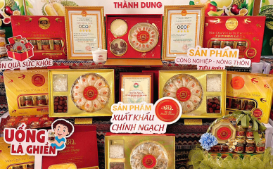 TỪ TỔ YẾN ĐẾN HŨ YẾN - HÀNH TRÌNH TẠO NÊN SẢN PHẨM THÀNH DUNG