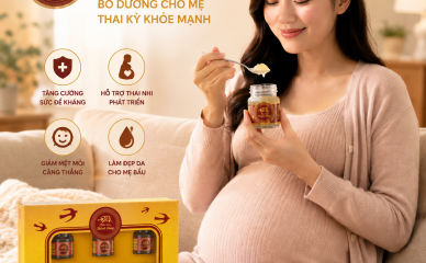 Công dụng của tổ yến đối với bà bầu: Bí quyết giúp mẹ khỏe mạnh, thai nhi phát triển toàn diện