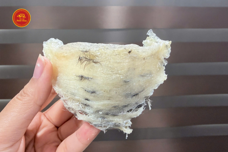 cách lựa chọn tổ yến thô